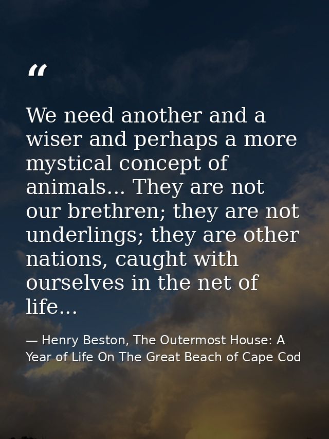 We need another and a wiser and perhaps a more mystical concept of animals... They are not our brethren; they are not un — Henry Beston, The Outermost House: A Year of Life On The Great Beach of Cape Cod