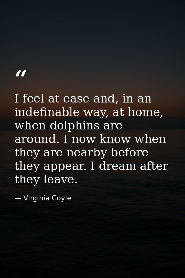 I feel at ease and, in an indefinable way, at home, when dolphins are around. I now know when they are nearby before the — Virginia Coyle