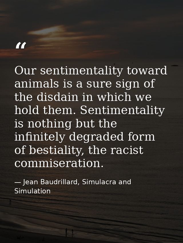 Our sentimentality toward animals is a sure sign of the disdain in which we hold them. Sentimentality is nothing but the — Jean Baudrillard, Simulacra and Simulation