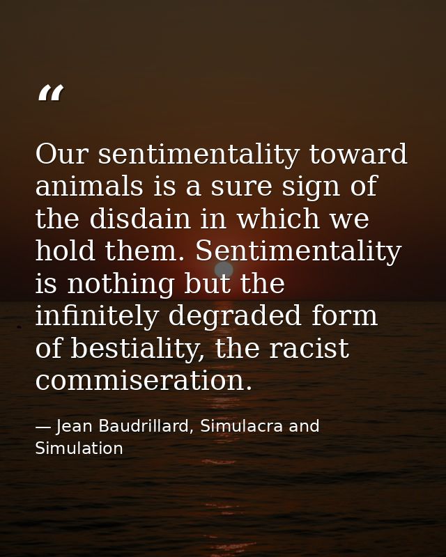 Our sentimentality toward animals is a sure sign of the disdain in which we hold them. Sentimentality is nothing but the — Jean Baudrillard, Simulacra and Simulation