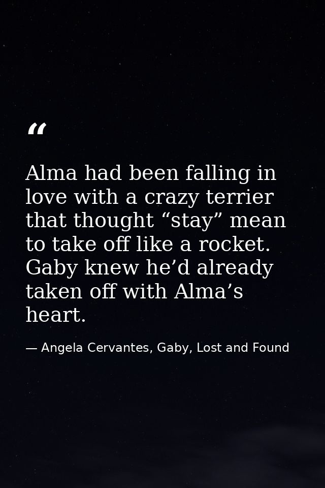 Alma had been falling in love with a crazy terrier that thought “stay” mean to take off like a rocket. Gaby knew he’d al — Angela Cervantes, Gaby, Lost and Found