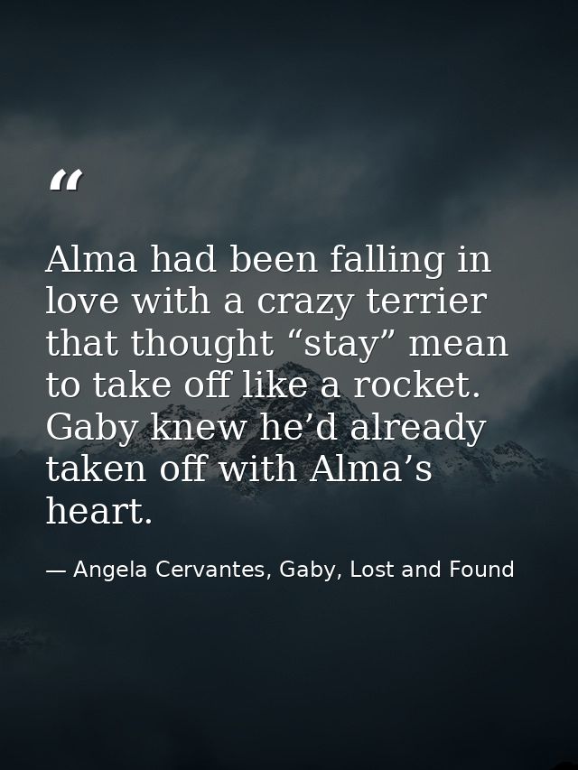 Alma had been falling in love with a crazy terrier that thought “stay” mean to take off like a rocket. Gaby knew he’d al — Angela Cervantes, Gaby, Lost and Found