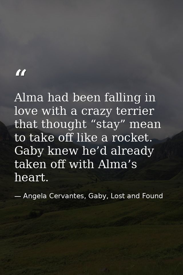 Alma had been falling in love with a crazy terrier that thought “stay” mean to take off like a rocket. Gaby knew he’d al — Angela Cervantes, Gaby, Lost and Found
