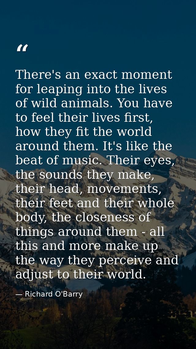 There's an exact moment for leaping into the lives of wild animals. You have to feel their lives first, how they fit the — Richard O'Barry