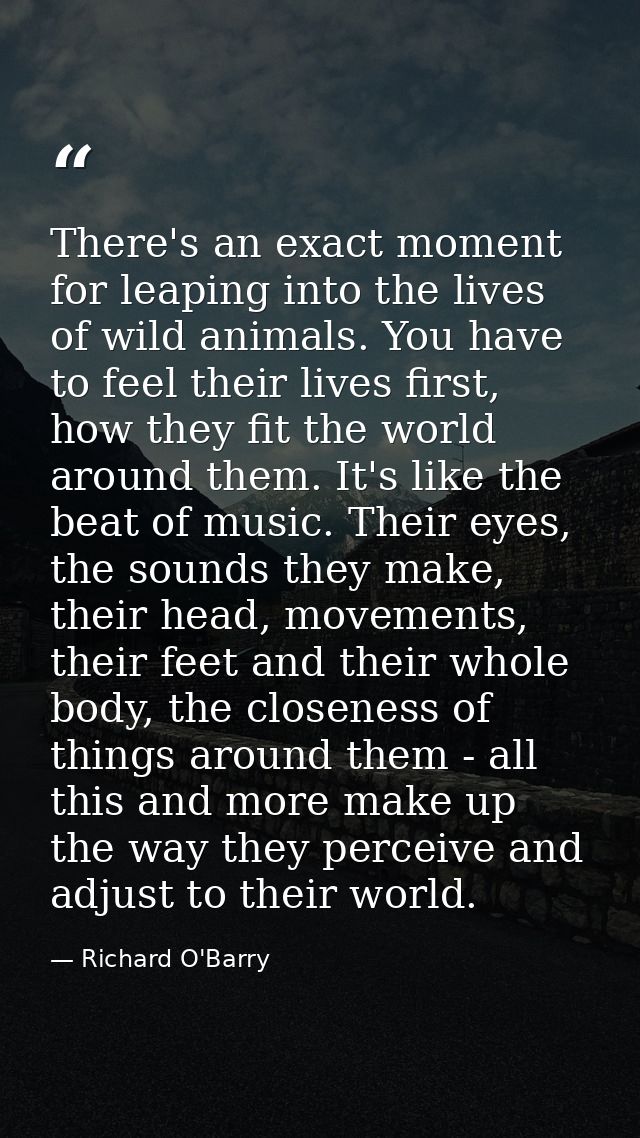 There's an exact moment for leaping into the lives of wild animals. You have to feel their lives first, how they fit the — Richard O'Barry
