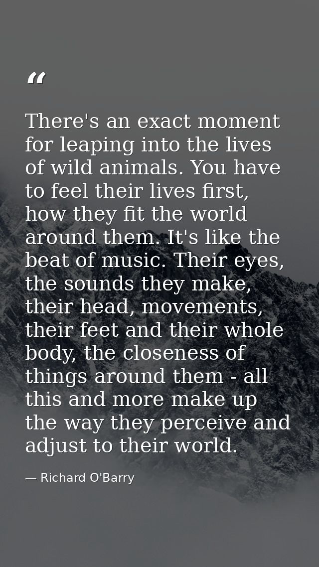 There's an exact moment for leaping into the lives of wild animals. You have to feel their lives first, how they fit the — Richard O'Barry