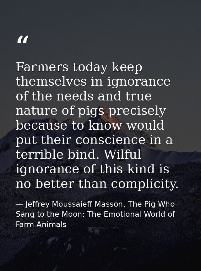 Farmers today keep themselves in ignorance of the needs and true nature of pigs precisely because to know would put thei — Jeffrey Moussaieff Masson, The Pig Who Sang to the Moon: The Emotional World of Farm Animals