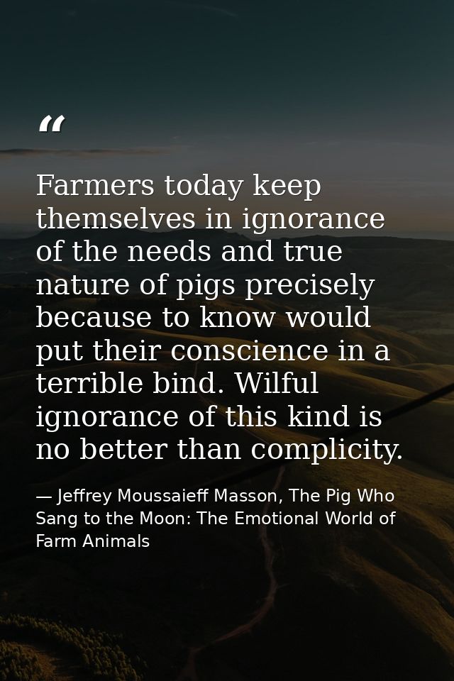 Farmers today keep themselves in ignorance of the needs and true nature of pigs precisely because to know would put thei — Jeffrey Moussaieff Masson, The Pig Who Sang to the Moon: The Emotional World of Farm Animals