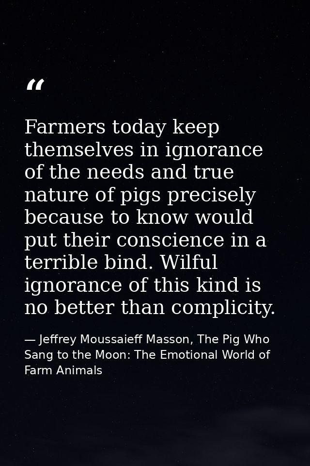 Farmers today keep themselves in ignorance of the needs and true nature of pigs precisely because to know would put thei — Jeffrey Moussaieff Masson, The Pig Who Sang to the Moon: The Emotional World of Farm Animals