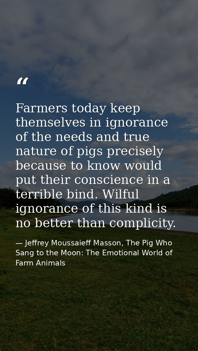 Farmers today keep themselves in ignorance of the needs and true nature of pigs precisely because to know would put thei — Jeffrey Moussaieff Masson, The Pig Who Sang to the Moon: The Emotional World of Farm Animals