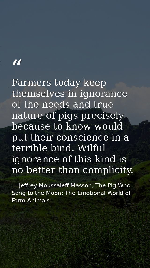Farmers today keep themselves in ignorance of the needs and true nature of pigs precisely because to know would put thei — Jeffrey Moussaieff Masson, The Pig Who Sang to the Moon: The Emotional World of Farm Animals