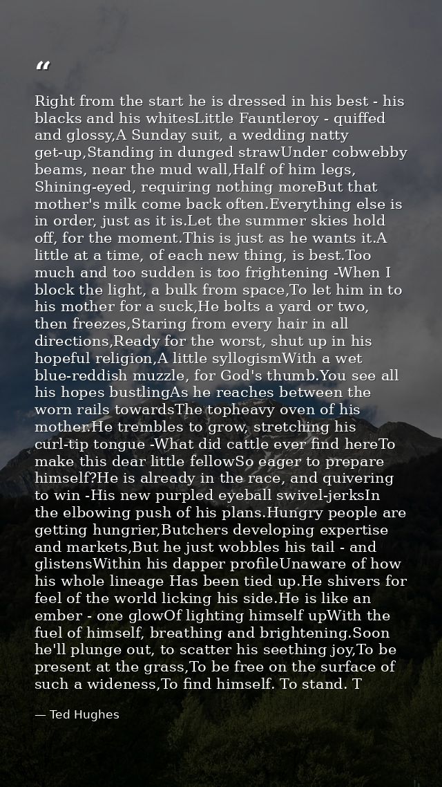 Right from the start he is dressed in his best - his blacks and his whitesLittle Fauntleroy - quiffed and glossy,A Sunda — Ted Hughes