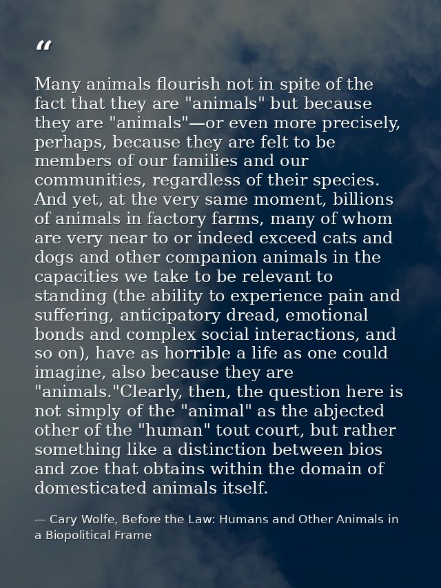 Many animals flourish not in spite of the fact that they are "animals" but because they are "animals"—or even more preci — Cary Wolfe, Before the Law: Humans and Other Animals in a Biopolitical Frame