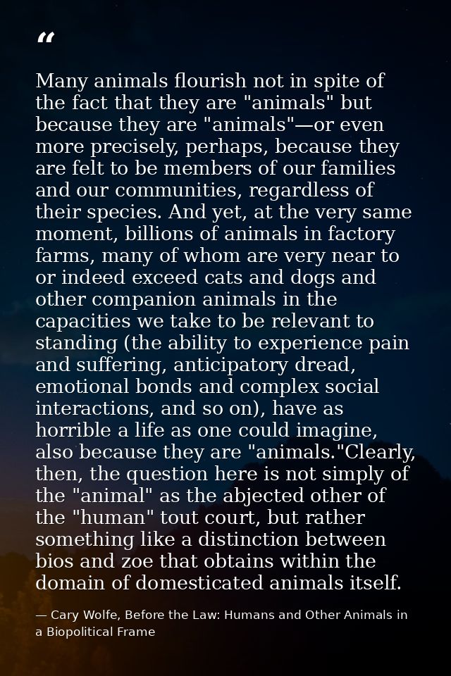 Many animals flourish not in spite of the fact that they are "animals" but because they are "animals"—or even more preci — Cary Wolfe, Before the Law: Humans and Other Animals in a Biopolitical Frame