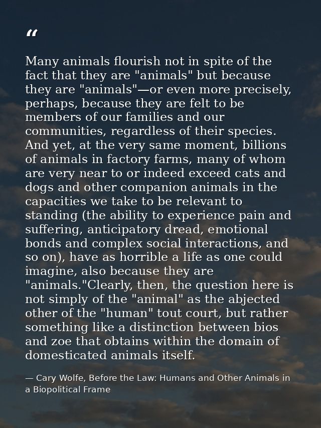 Many animals flourish not in spite of the fact that they are "animals" but because they are "animals"—or even more preci — Cary Wolfe, Before the Law: Humans and Other Animals in a Biopolitical Frame