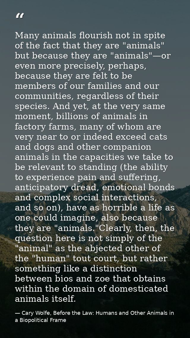 Many animals flourish not in spite of the fact that they are "animals" but because they are "animals"—or even more preci — Cary Wolfe, Before the Law: Humans and Other Animals in a Biopolitical Frame