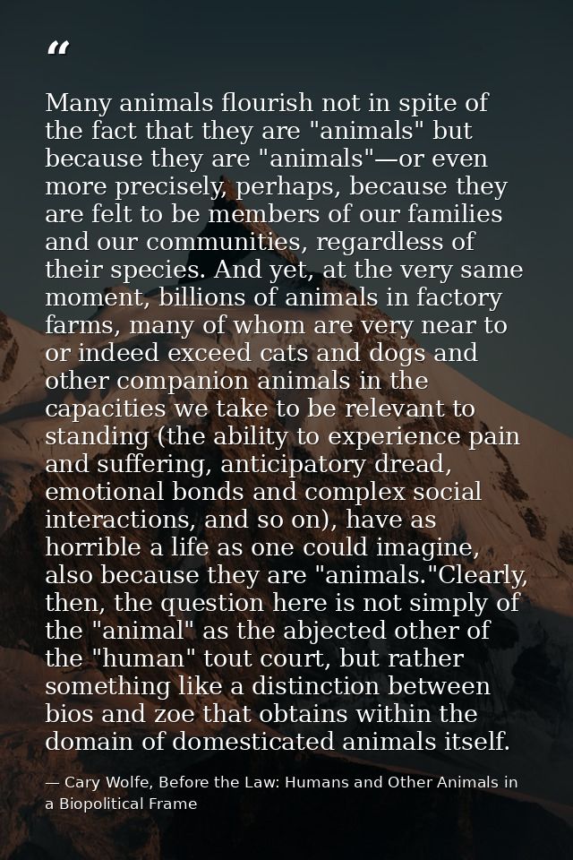Many animals flourish not in spite of the fact that they are "animals" but because they are "animals"—or even more preci — Cary Wolfe, Before the Law: Humans and Other Animals in a Biopolitical Frame