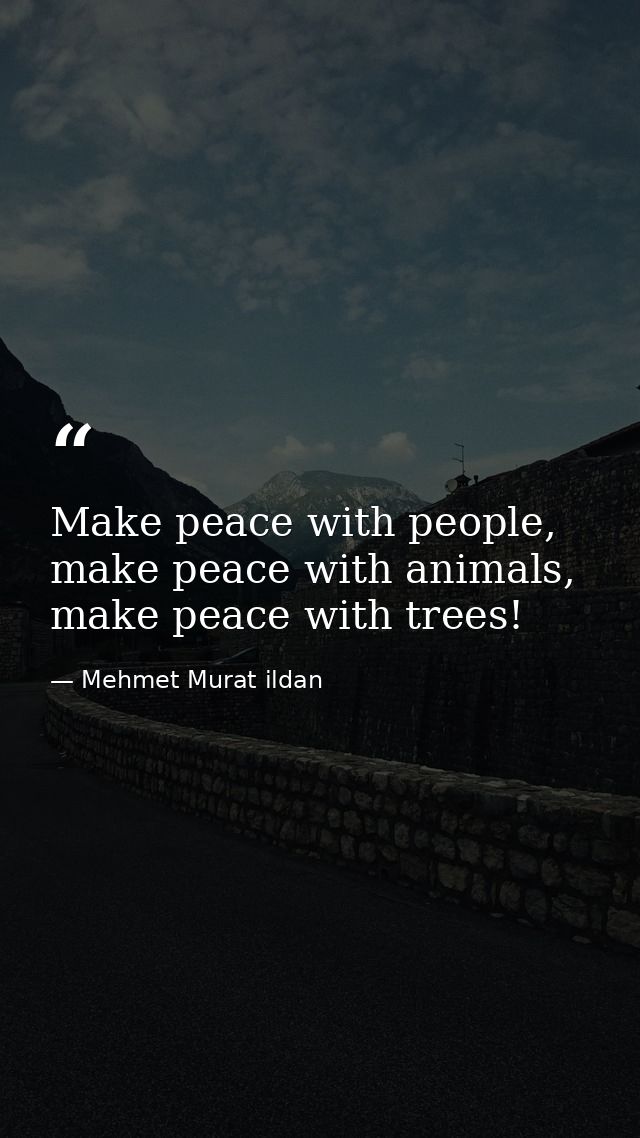 Make peace with people, make peace with animals, make peace with trees! — Mehmet Murat ildan