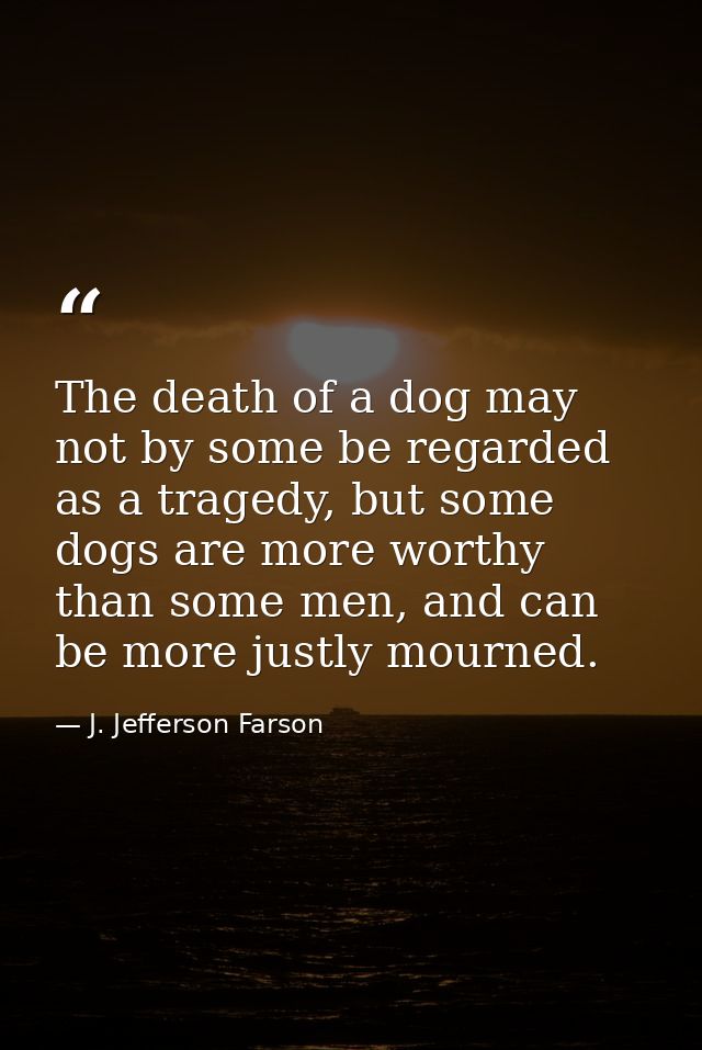 The death of a dog may not by some be regarded as a tragedy, but some dogs are more worthy than some men, and can be mor — J. Jefferson Farson