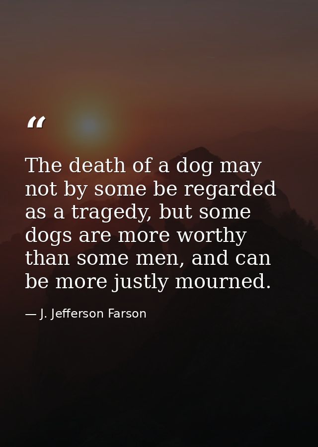 The death of a dog may not by some be regarded as a tragedy, but some dogs are more worthy than some men, and can be mor — J. Jefferson Farson