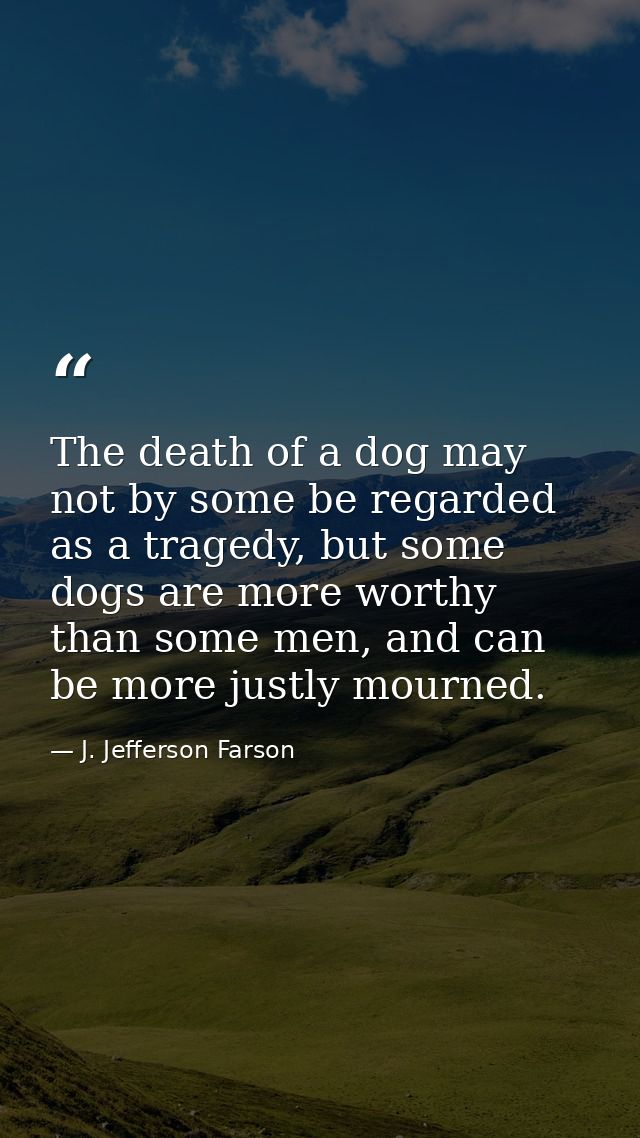 The death of a dog may not by some be regarded as a tragedy, but some dogs are more worthy than some men, and can be mor — J. Jefferson Farson