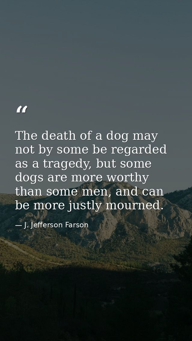 The death of a dog may not by some be regarded as a tragedy, but some dogs are more worthy than some men, and can be mor — J. Jefferson Farson