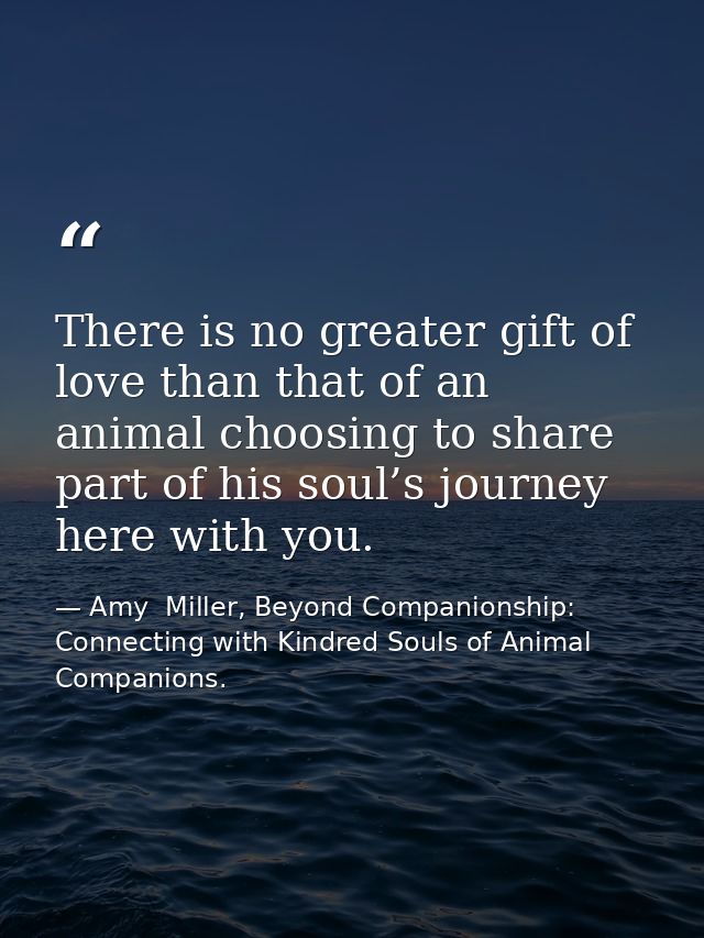 There is no greater gift of love than that of an animal choosing to share part of his soul’s journey here with you. — Amy  Miller, Beyond Companionship: Connecting with Kindred Souls of Animal Companions.