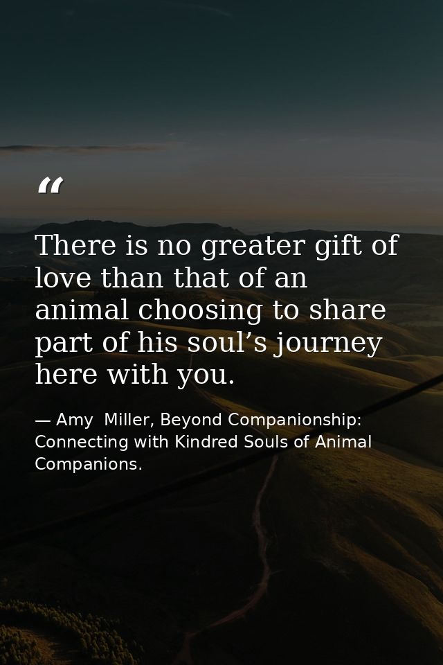 There is no greater gift of love than that of an animal choosing to share part of his soul’s journey here with you. — Amy  Miller, Beyond Companionship: Connecting with Kindred Souls of Animal Companions.
