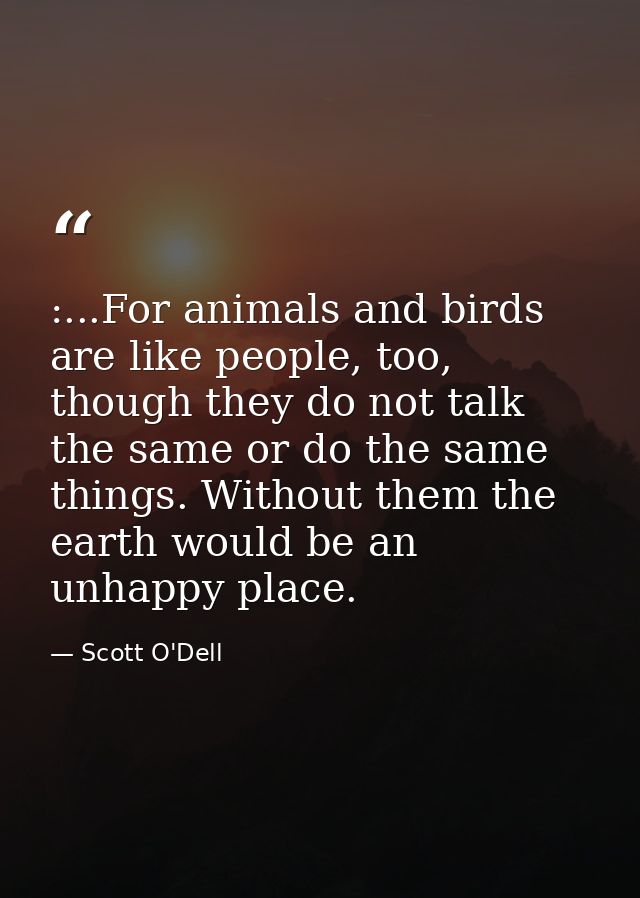 :...For animals and birds are like people, too, though they do not talk the same or do the same things. Without them the — Scott O'Dell