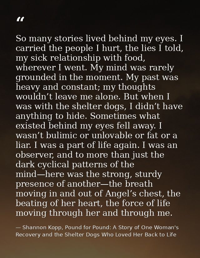 So many stories lived behind my eyes. I carried the people I hurt, the lies I told, my sick relationship with food, wher — Shannon Kopp, Pound for Pound: A Story of One Woman's Recovery and the Shelter Dogs Who Loved Her Back to Life