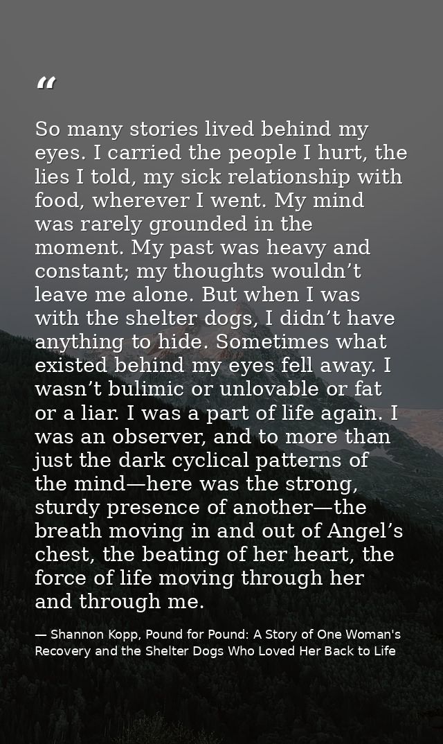 So many stories lived behind my eyes. I carried the people I hurt, the lies I told, my sick relationship with food, wher — Shannon Kopp, Pound for Pound: A Story of One Woman's Recovery and the Shelter Dogs Who Loved Her Back to Life