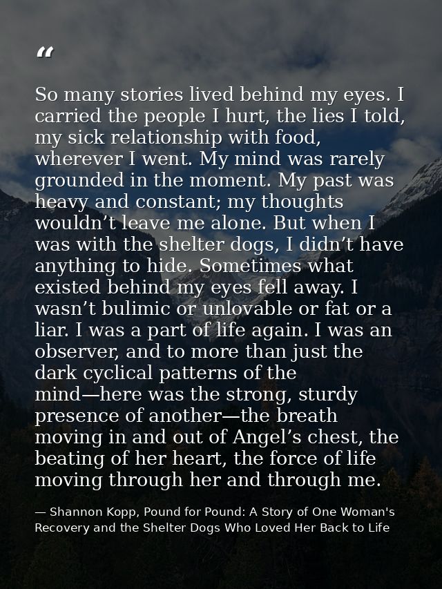So many stories lived behind my eyes. I carried the people I hurt, the lies I told, my sick relationship with food, wher — Shannon Kopp, Pound for Pound: A Story of One Woman's Recovery and the Shelter Dogs Who Loved Her Back to Life