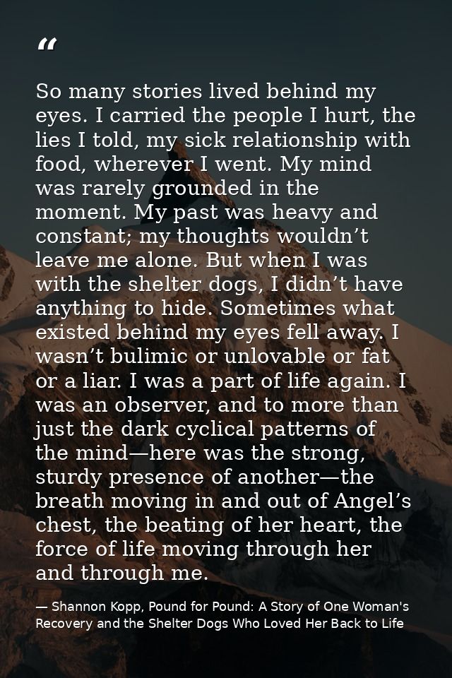 So many stories lived behind my eyes. I carried the people I hurt, the lies I told, my sick relationship with food, wher — Shannon Kopp, Pound for Pound: A Story of One Woman's Recovery and the Shelter Dogs Who Loved Her Back to Life