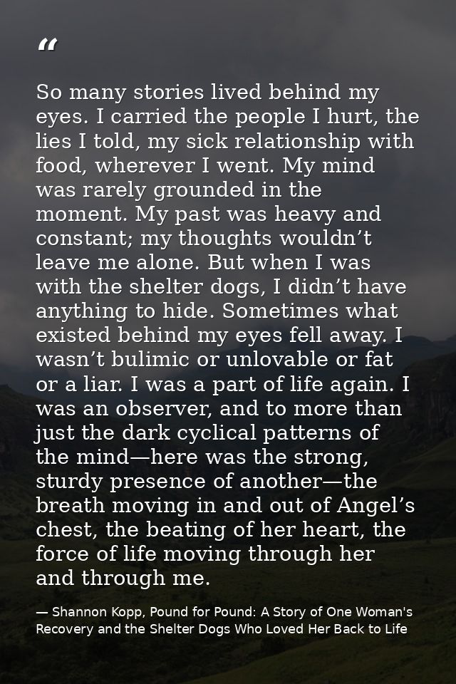 So many stories lived behind my eyes. I carried the people I hurt, the lies I told, my sick relationship with food, wher — Shannon Kopp, Pound for Pound: A Story of One Woman's Recovery and the Shelter Dogs Who Loved Her Back to Life