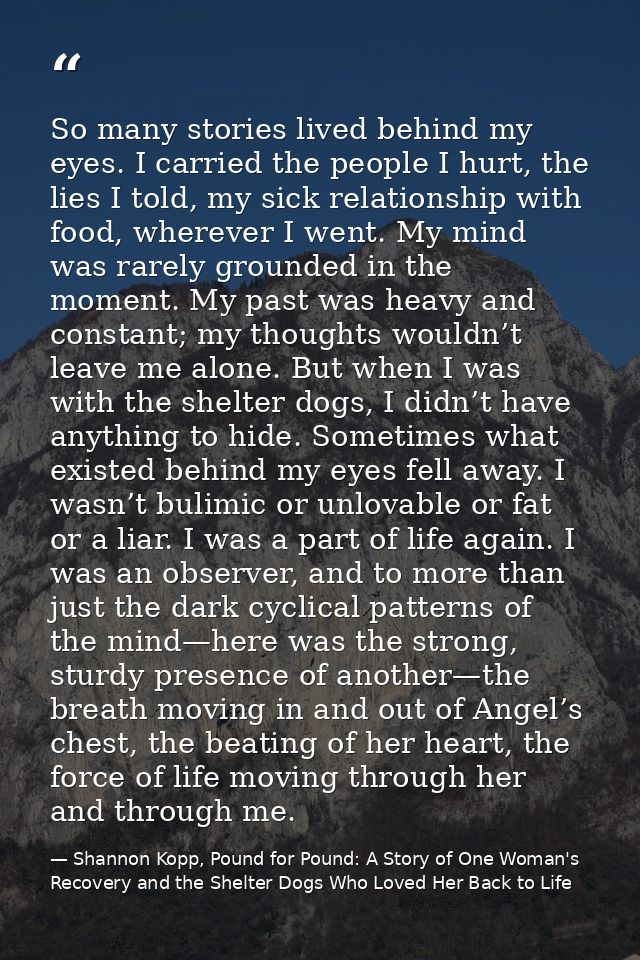 So many stories lived behind my eyes. I carried the people I hurt, the lies I told, my sick relationship with food, wher — Shannon Kopp, Pound for Pound: A Story of One Woman's Recovery and the Shelter Dogs Who Loved Her Back to Life