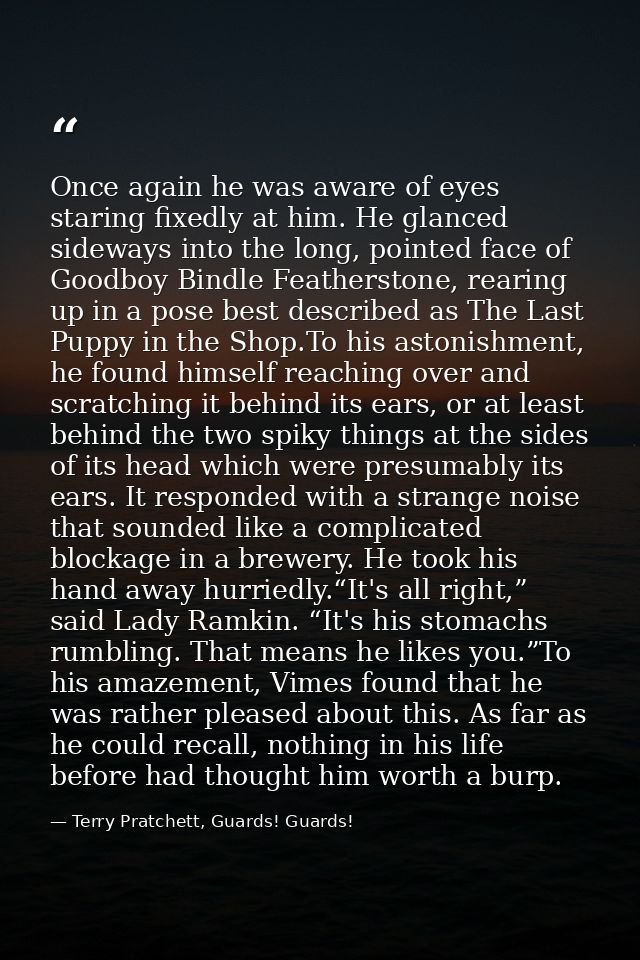 Once again he was aware of eyes staring fixedly at him. He glanced sideways into the long, pointed face of Goodboy Bindl — Terry Pratchett, Guards! Guards!