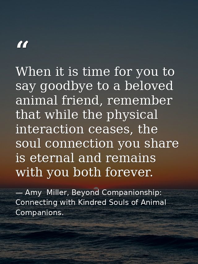 When it is time for you to say goodbye to a beloved animal friend, remember that while the physical interaction ceases,  — Amy  Miller, Beyond Companionship: Connecting with Kindred Souls of Animal Companions.