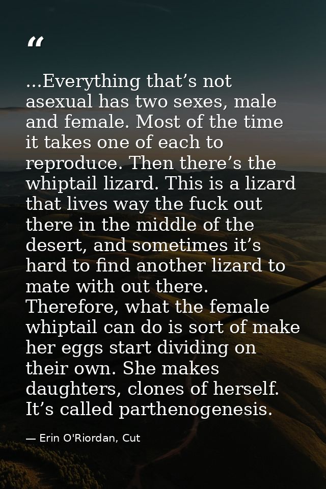 ...Everything that’s not asexual has two sexes, male and female. Most of the time it takes one of each to reproduce. The — Erin O'Riordan, Cut