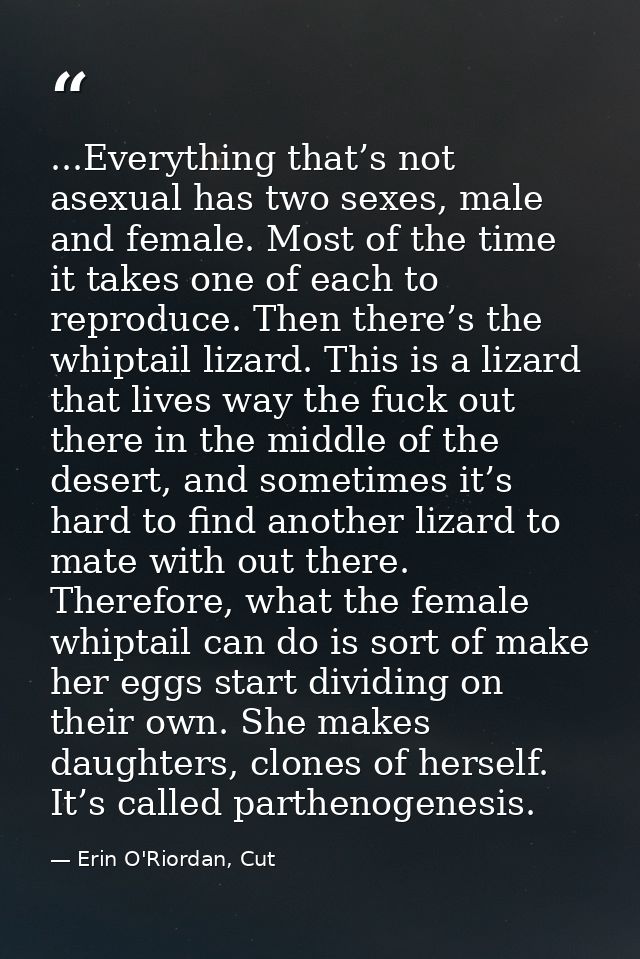 ...Everything that’s not asexual has two sexes, male and female. Most of the time it takes one of each to reproduce. The — Erin O'Riordan, Cut
