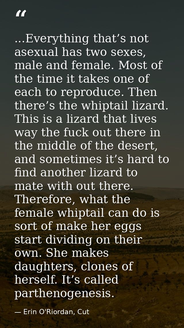 ...Everything that’s not asexual has two sexes, male and female. Most of the time it takes one of each to reproduce. The — Erin O'Riordan, Cut