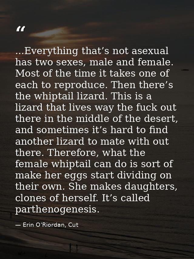 ...Everything that’s not asexual has two sexes, male and female. Most of the time it takes one of each to reproduce. The — Erin O'Riordan, Cut