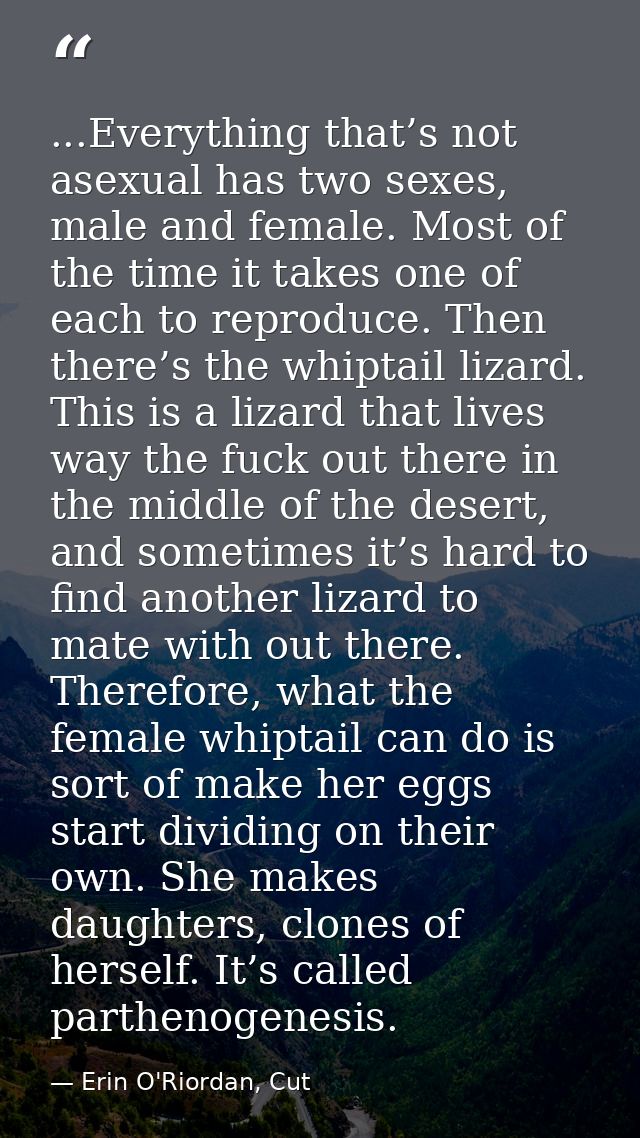 ...Everything that’s not asexual has two sexes, male and female. Most of the time it takes one of each to reproduce. The — Erin O'Riordan, Cut