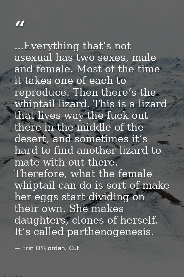 ...Everything that’s not asexual has two sexes, male and female. Most of the time it takes one of each to reproduce. The — Erin O'Riordan, Cut