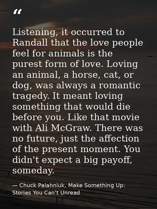 Listening, it occurred to Randall that the love people feel for animals is the purest form of love. Loving an animal, a  — Chuck Palahniuk, Make Something Up: Stories You Can't Unread