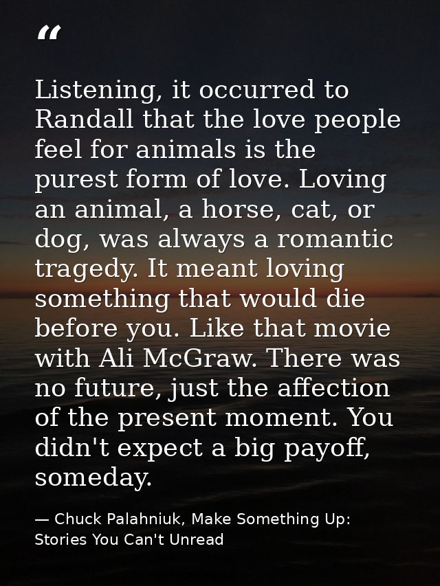 Listening, it occurred to Randall that the love people feel for animals is the purest form of love. Loving an animal, a  — Chuck Palahniuk, Make Something Up: Stories You Can't Unread