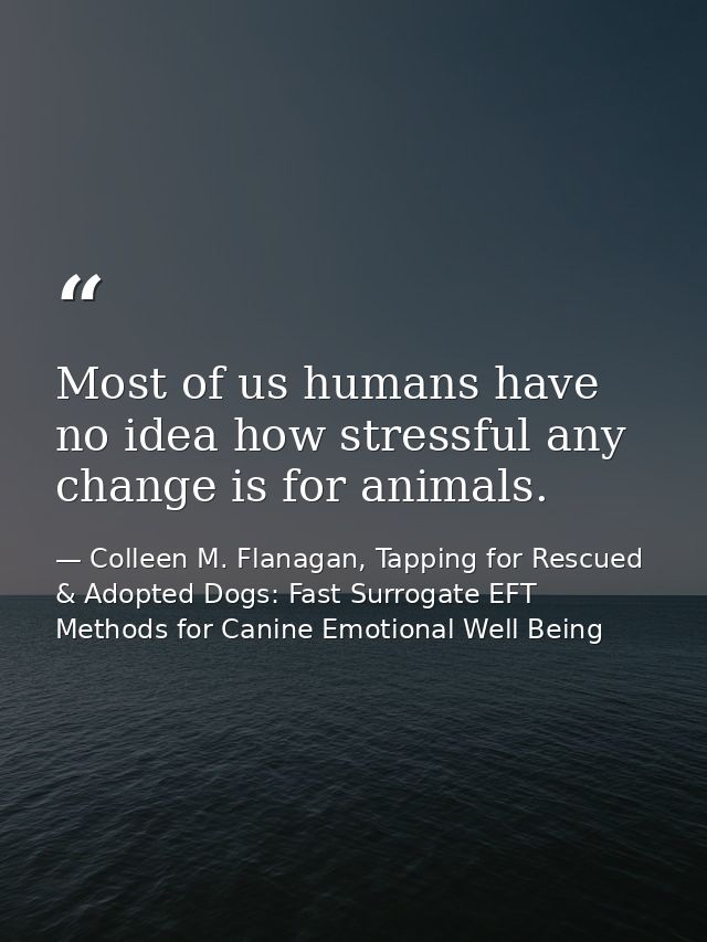 Most of us humans have no idea how stressful any change is for animals. — Colleen M. Flanagan, Tapping for Rescued & Adopted Dogs: Fast Surrogate EFT Methods for Canine Emotional Well Being