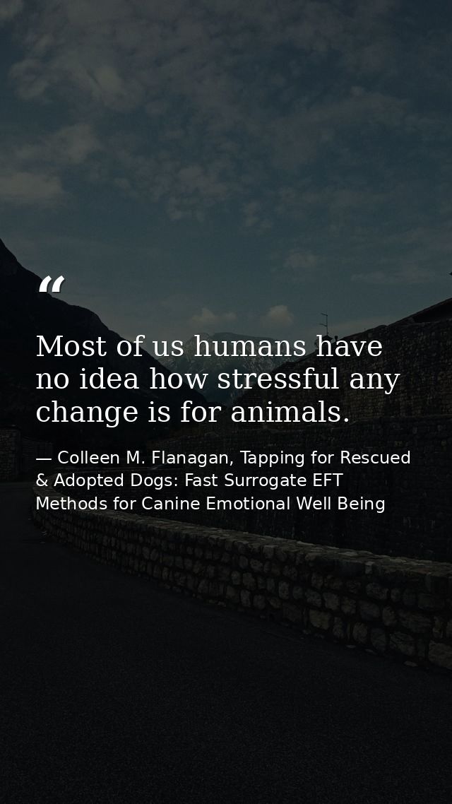 Most of us humans have no idea how stressful any change is for animals. — Colleen M. Flanagan, Tapping for Rescued & Adopted Dogs: Fast Surrogate EFT Methods for Canine Emotional Well Being