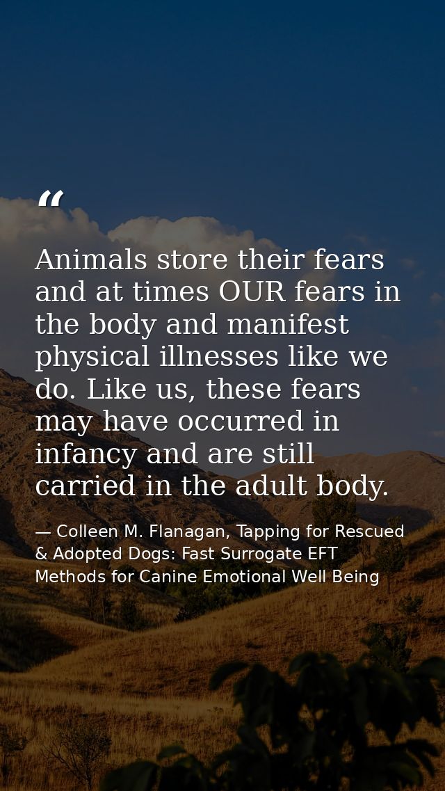 Animals store their fears and at times OUR fears in the body and manifest physical illnesses like we do. Like us, these  — Colleen M. Flanagan, Tapping for Rescued & Adopted Dogs: Fast Surrogate EFT Methods for Canine Emotional Well Being