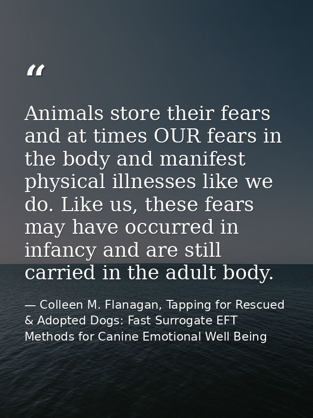 Animals store their fears and at times OUR fears in the body and manifest physical illnesses like we do. Like us, these  — Colleen M. Flanagan, Tapping for Rescued & Adopted Dogs: Fast Surrogate EFT Methods for Canine Emotional Well Being