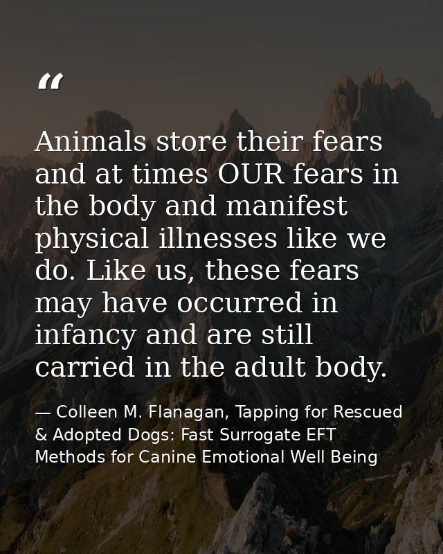 Animals store their fears and at times OUR fears in the body and manifest physical illnesses like we do. Like us, these  — Colleen M. Flanagan, Tapping for Rescued & Adopted Dogs: Fast Surrogate EFT Methods for Canine Emotional Well Being